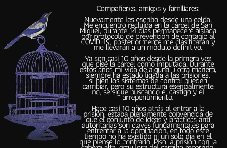 Comunicado de la compañera Mónica Andrea Caballero Sepúlveda (Esp/Ing)