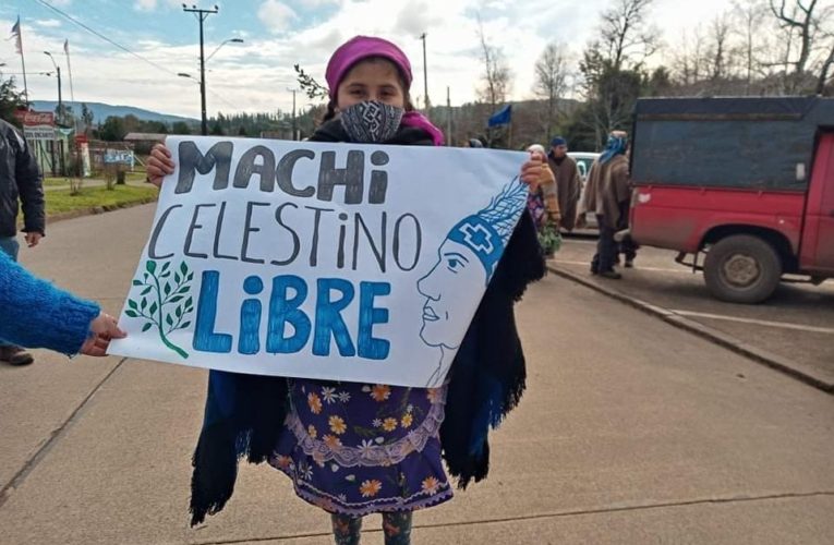 Comunicado Publico: 91 días en huelga de hambre de Machi Celestino Córdova (Esp/Ing)