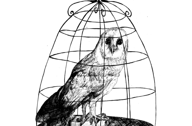 Dibujo de la compañera anarquista Mónica Caballero
